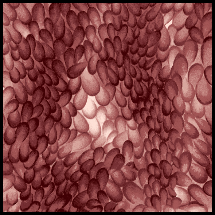 Custom Silk Scarf Manufacturer
