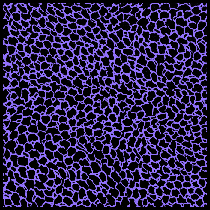 custom silk scarf manufacturer