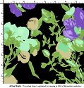 silk printed fabric flora design