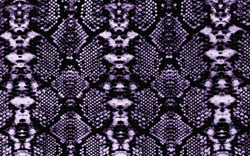 Silk Printed Fabric: Aemilia