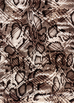 Silk Printed Fabric: Arisaema