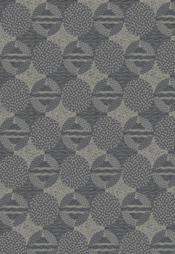 Silk Printed Fabric: Vv00090