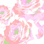 Silk Printed Fabric: Flip