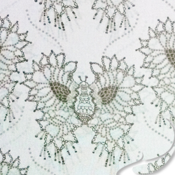 Printed Silk Heavy Chiffon Fabric, Butterfly Print, EZ-41001-0862, 10mm, 55"