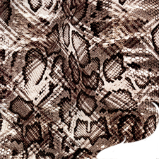 Silk Printed Fabric: Arisaema