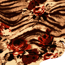 Silk Printed Fabric: Mb00001